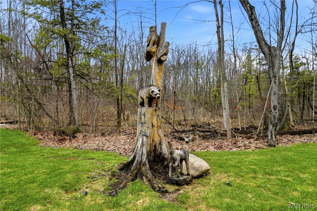 1049 Willardshire Road Orchard Park, NY 14127 - Photo 46 of 50