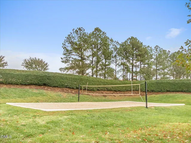 a view of a yard with a large trees