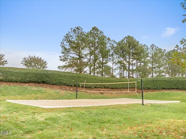 a view of a yard with a large trees