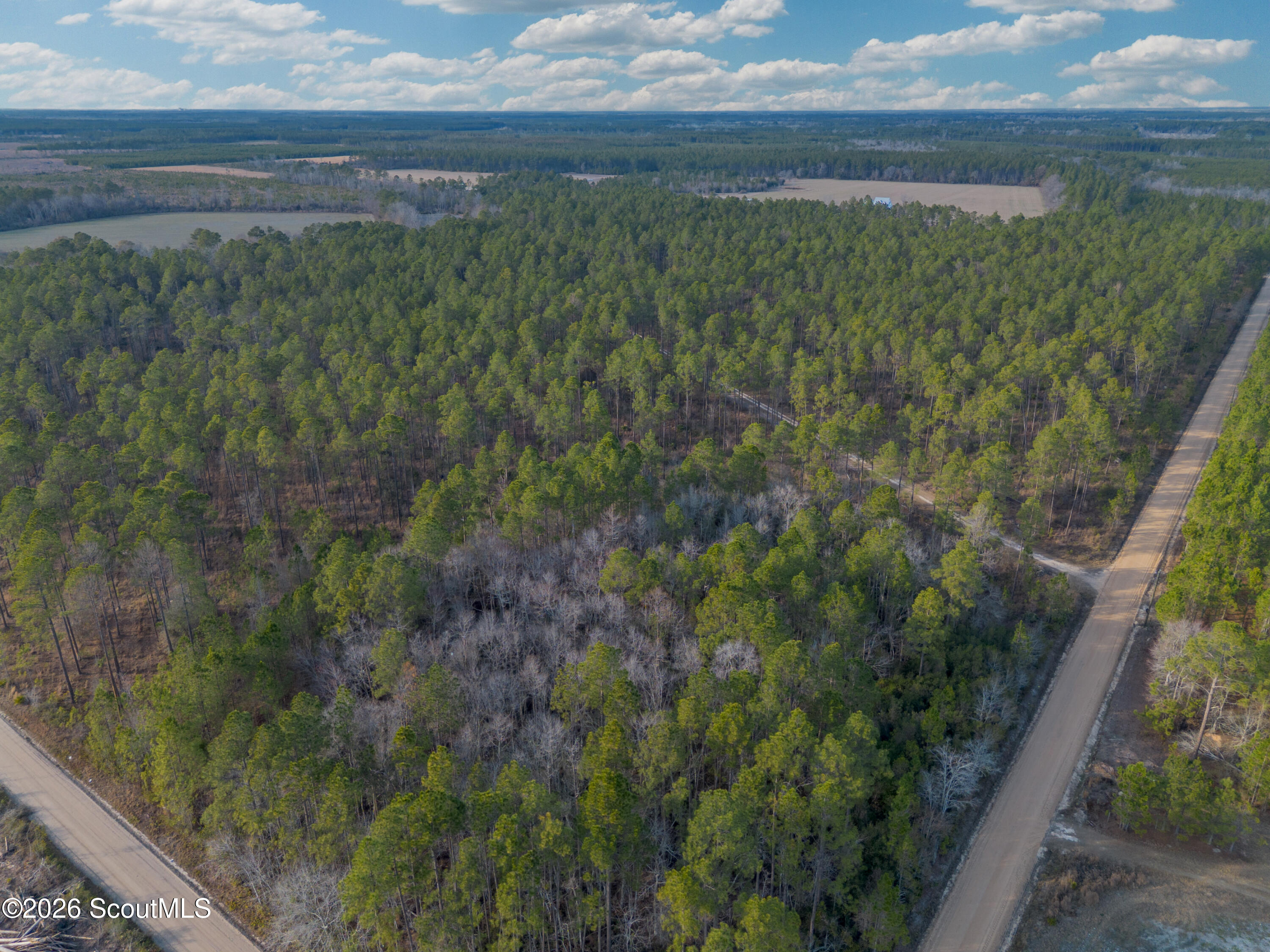 0 Reddish Road Odum, GA 31555 - Photo 5 of 46 230-AC-REDDISH-ODUM-4
