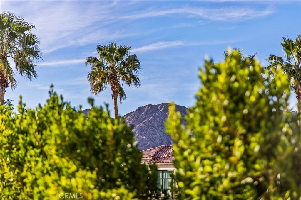 80440 Old Ranch Trail South La Quinta, CA 92253 - Photo 42 of 46