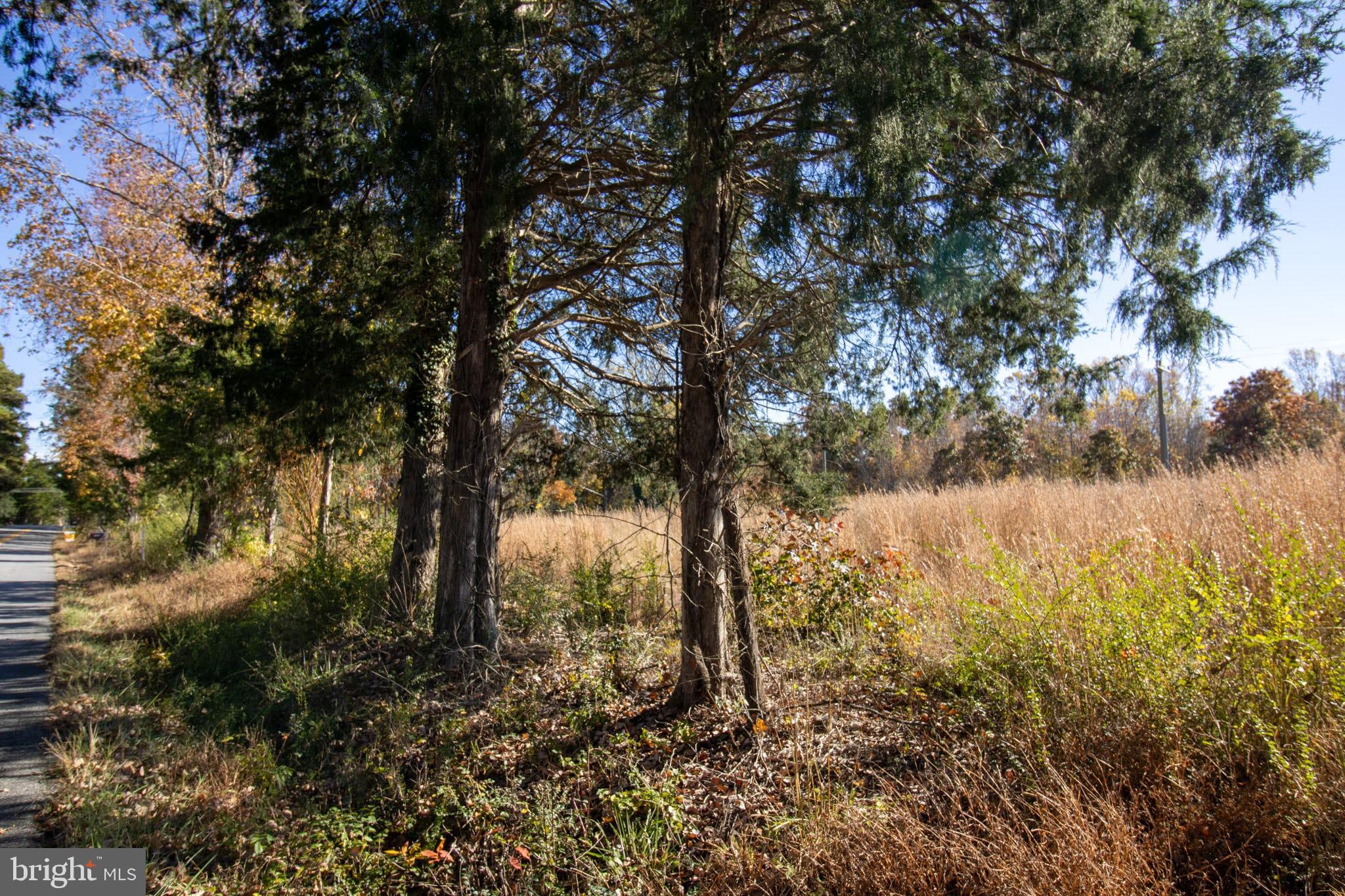 Tbd Piney Grove Road, Unit 21 Alton, VA 24520 - Photo 9 of 19