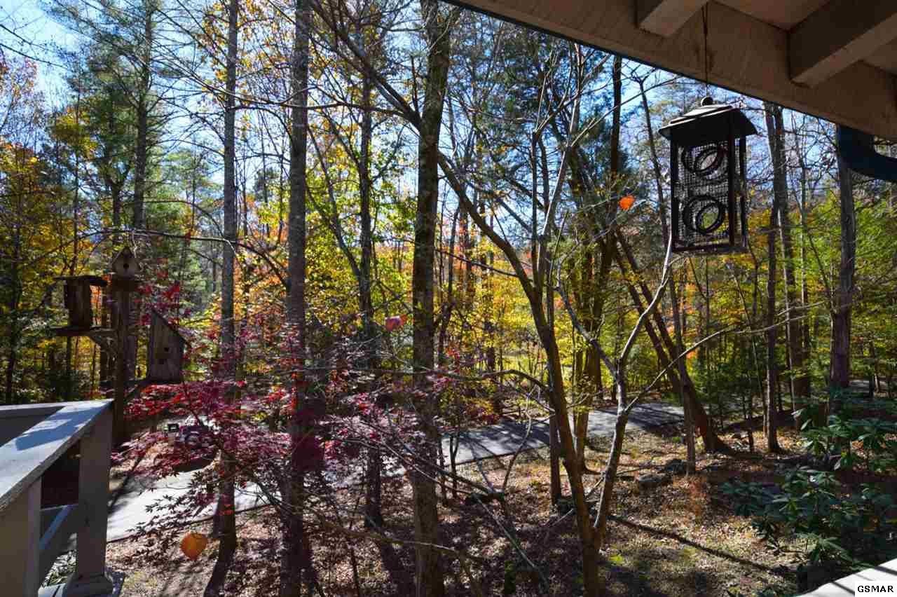 281 Laurel Road Townsend, TN 37882 - Photo 24 of 31 Gallery Image 24