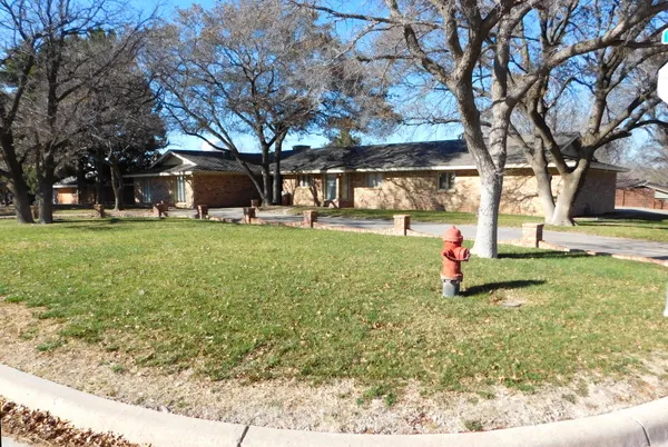 a view of a park with large trees