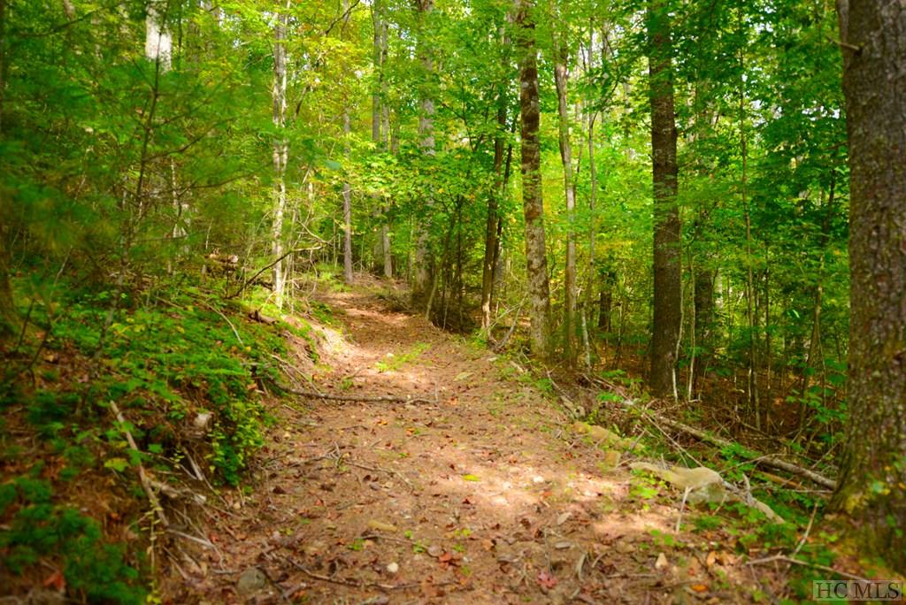Off Jack Wilcox Road Highlands, NC 28741 - Photo 23 of 25 Gallery Image 23