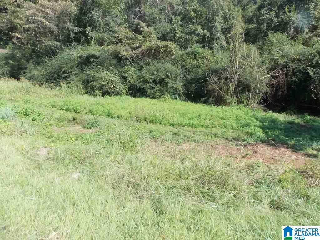 375 Marble Quarry Road, Unit 7 ACRES Talladega, AL 35160 - Photo 3 of 33