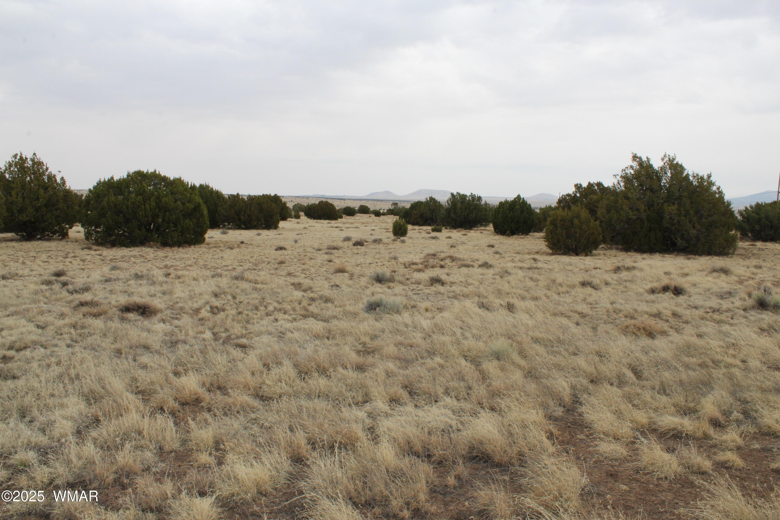 21 County Road Concho, AZ 85924 - Photo 22 of 22 a view of ocean beach and mountain