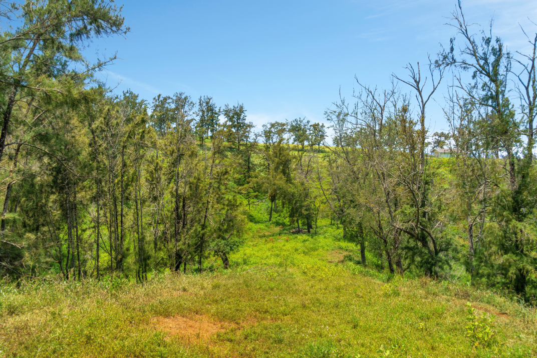 55-199 Hoea Road Hawi, HI 96719 - Photo 11 of 19