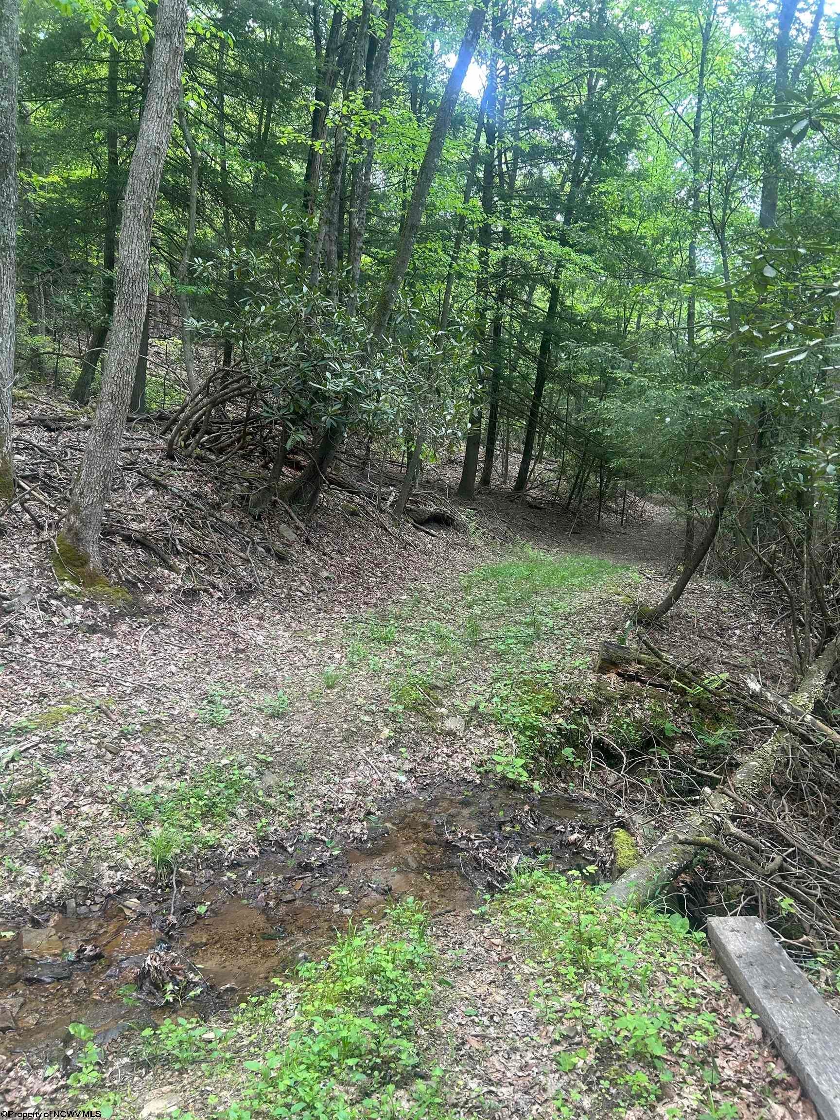 Tbd Tom Turner Road Independence, WV 26374 - Photo 17 of 23 Gallery Image 17
