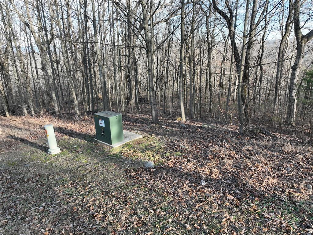 275 Andes Ridge Talking Rock, GA 30175 - Photo 8 of 9