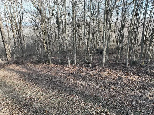 $70,000 | 275 Andes Ridge, Talking Rock, GA 30175