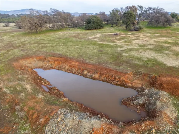 a view of a lake with lots of trees