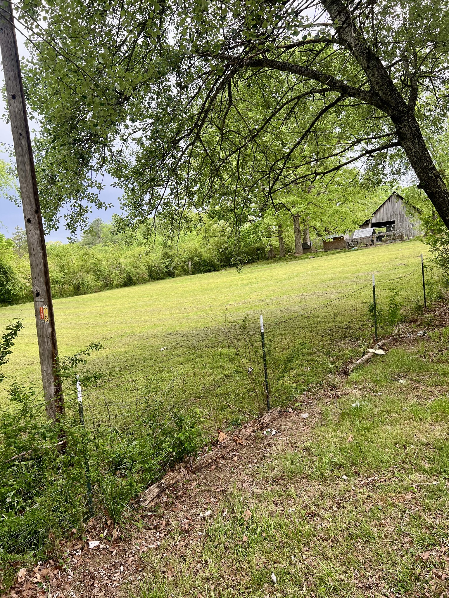 7526 Johnny Crow Road Lyles, TN 37098 - Photo 2 of 42