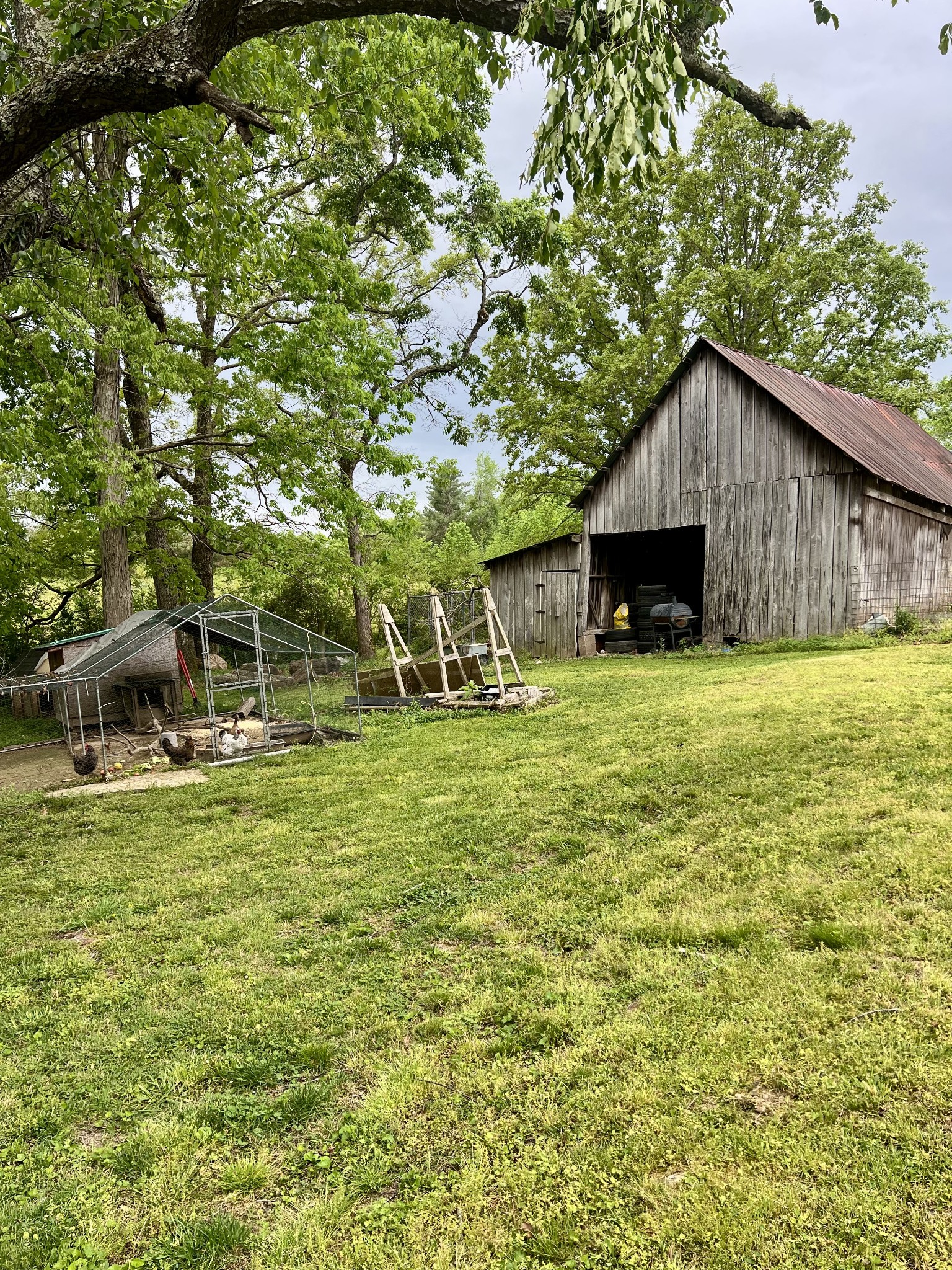 7526 Johnny Crow Road Lyles, TN 37098 - Photo 5 of 42
