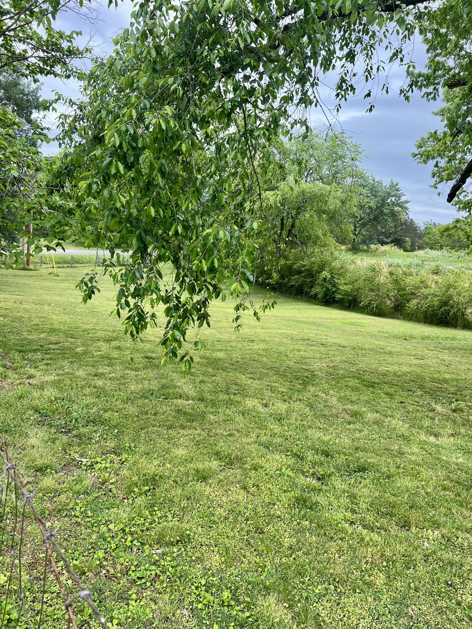 7526 Johnny Crow Road Lyles, TN 37098 - Photo 6 of 42