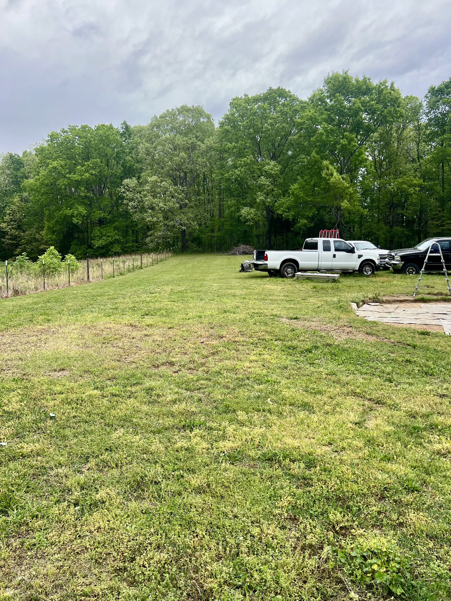 7526 Johnny Crow Road Lyles, TN 37098 - Photo 9 of 42