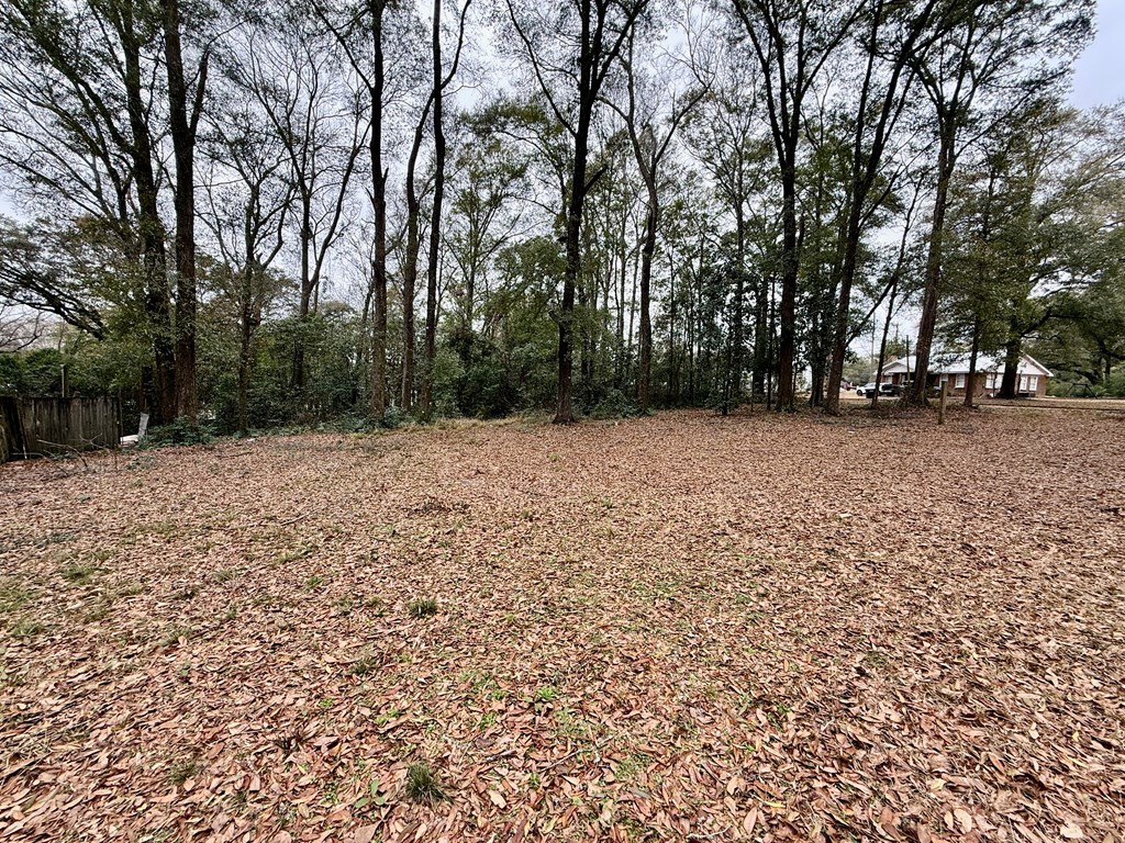 108 East High Avenue Geneva, AL 36340 - Photo 15 of 33