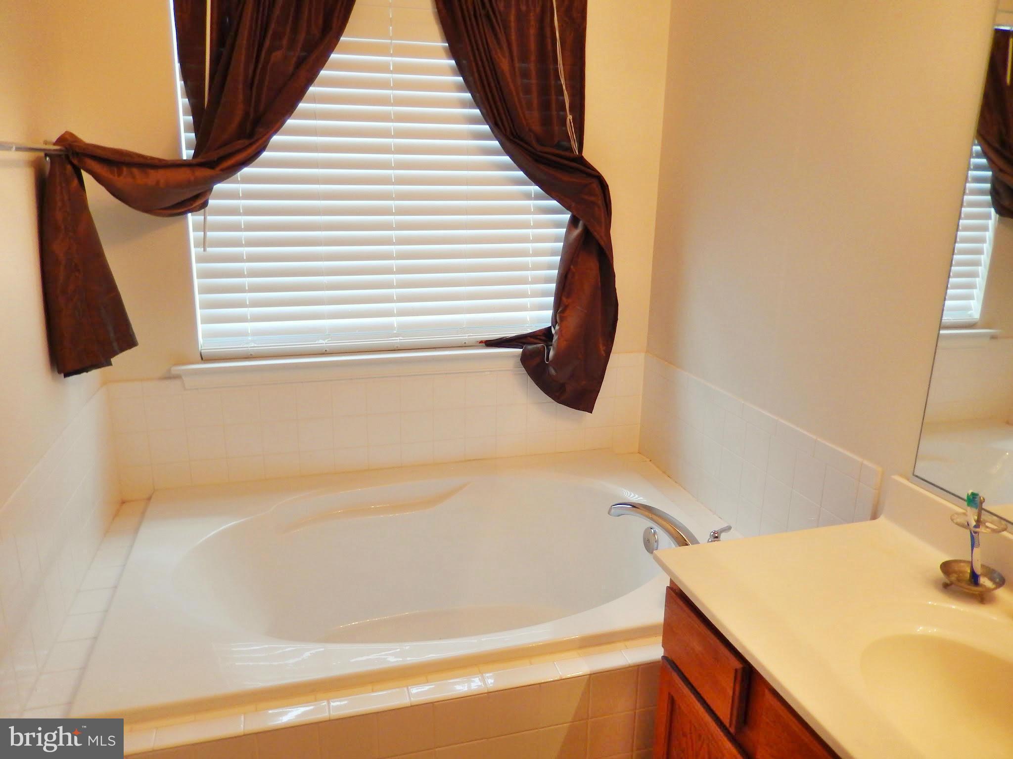 1951 Waltman Road Edgewood, MD 21040 - Photo 12 of 20 a bathroom with a sink and a bathtub