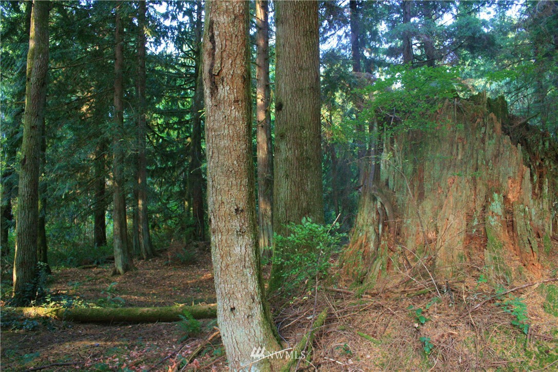 15701 OK Mill Road Snohomish, WA 98290 - Photo 4 of 25 Gallery Image 4