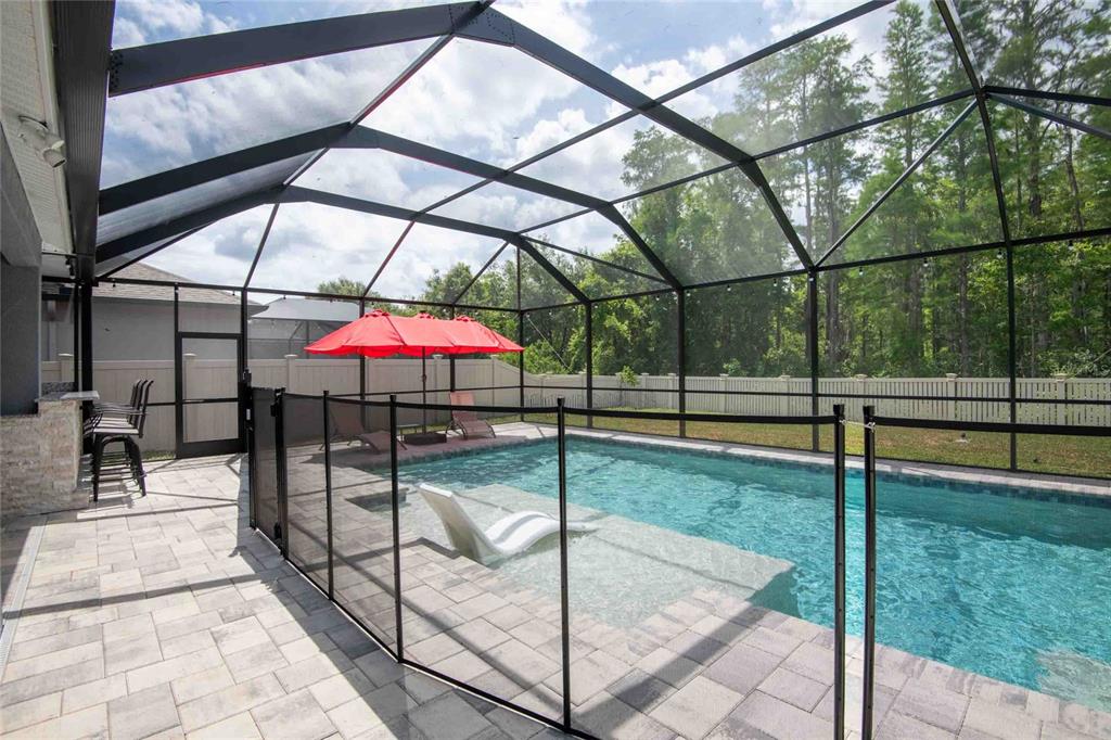 12846 Tikal Way Trinity, FL 34655 - Photo 41 of 54