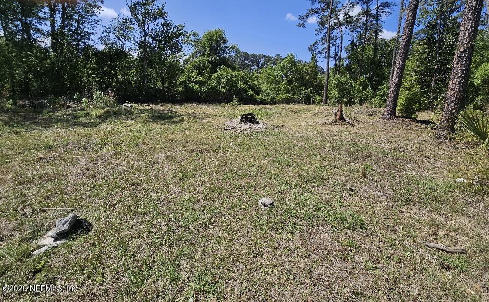 0 Farm Road Jacksonville, FL 32218 - Photo 3 of 5 a view of a yard with a tree