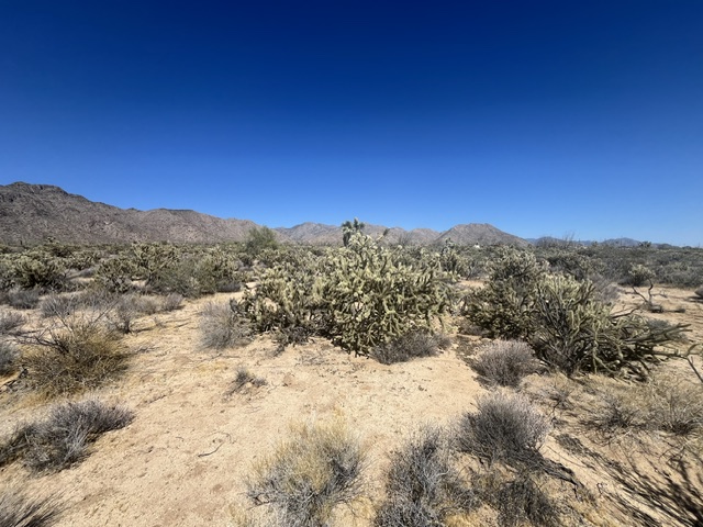 11108 Alvis Road Yucca, AZ 86438 - Photo 10 of 20