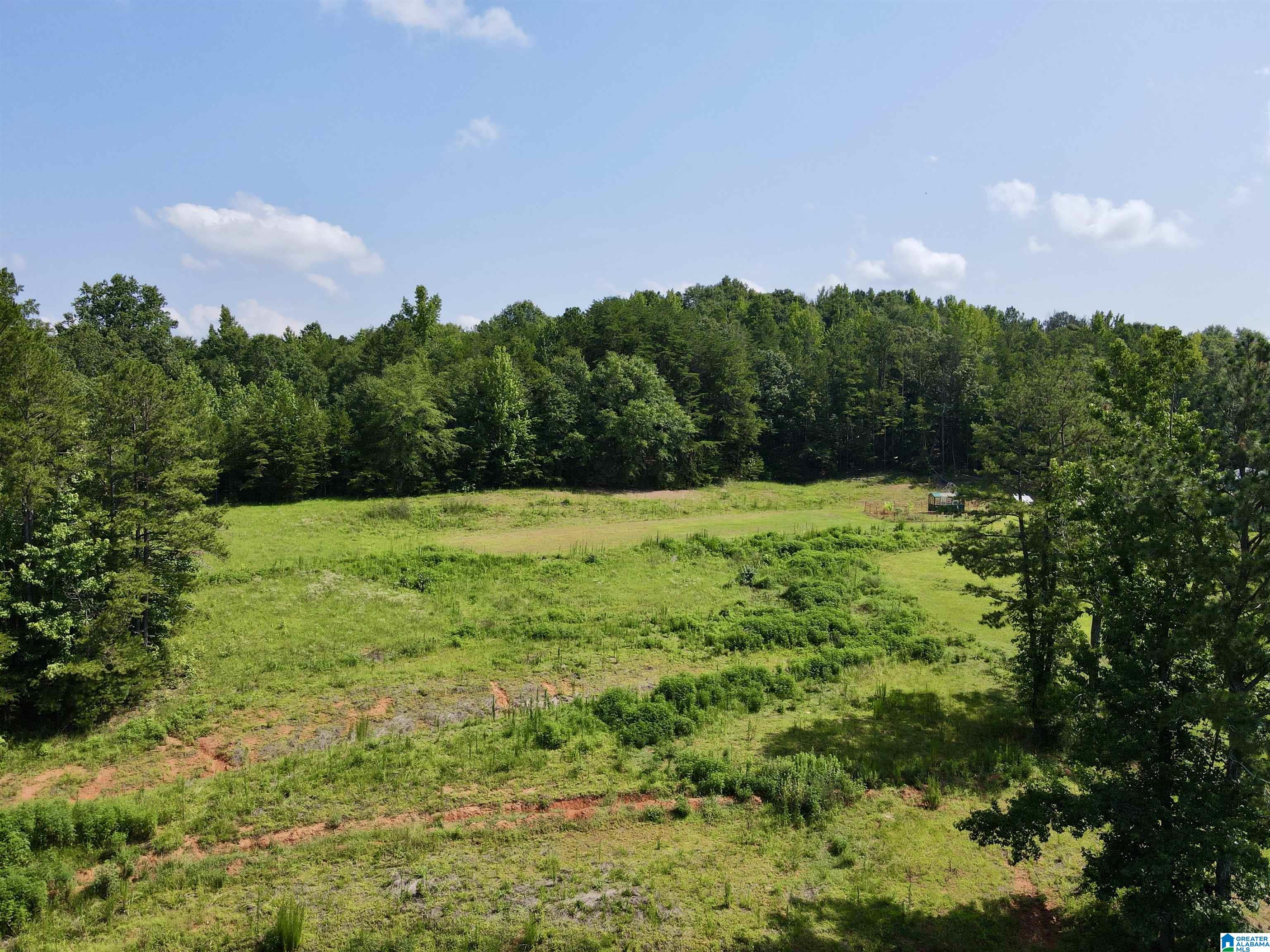 780 Lost Creek Road Delta, AL 36258 - Photo 39 of 50 Gallery Image 39