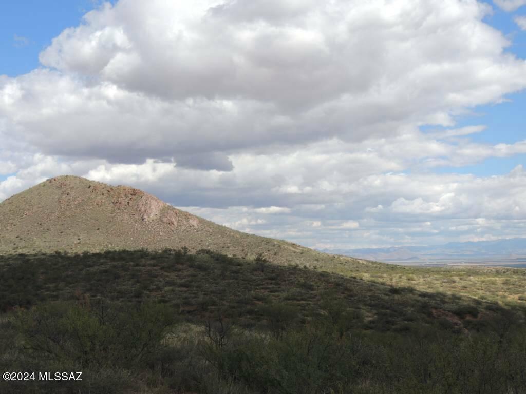 39 North Rambling Road, Unit 100 Elfrida, AZ 85610 - Photo 4 of 11