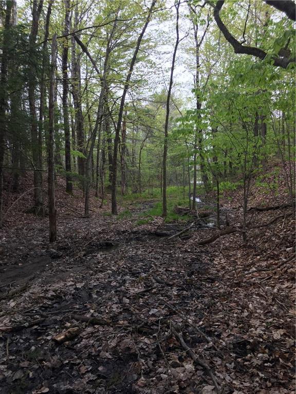 Lot 80 Augusta Road Topsham, ME 04086 - Photo 4 of 26 Photo