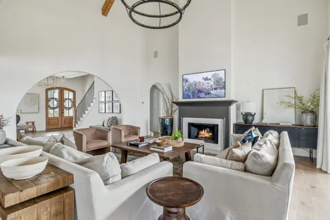 a living room with furniture a fireplace and a potted plant