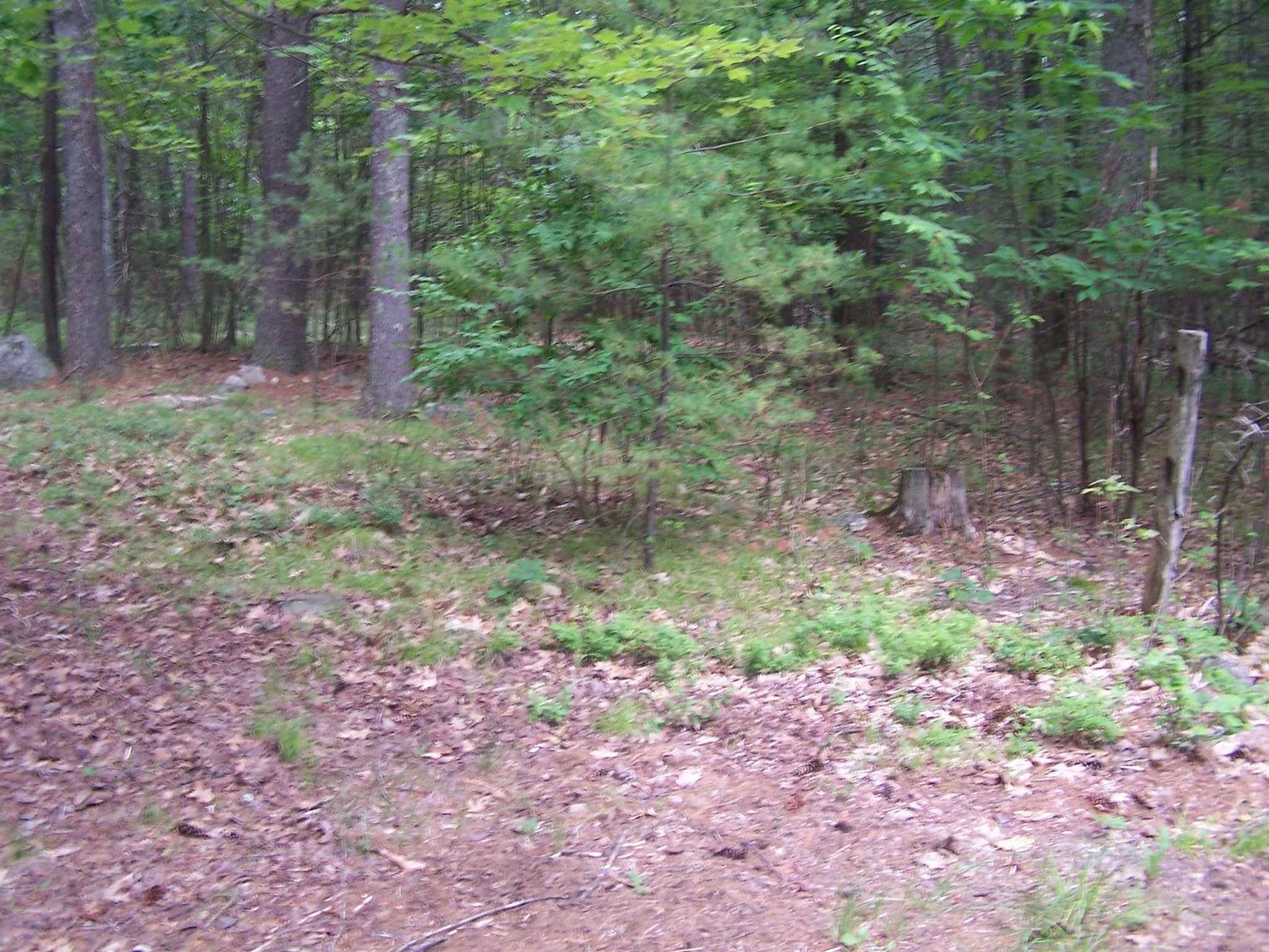 705 A Brookline Road Mason, NH 03048 - Photo 4 of 4