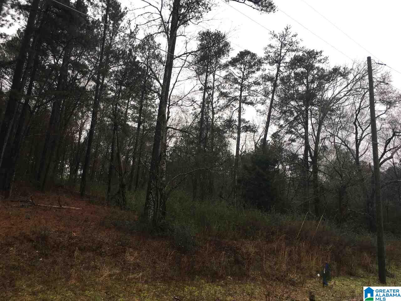1285 Eureka Road, Unit 1 Lincoln, AL 35096 - Photo 14 of 37