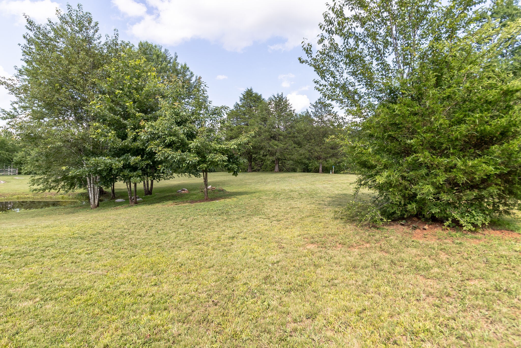 2865 Carpenter Bridge Road Columbia, TN 38401 - Photo 13 of 25 a view of a yard with a trees