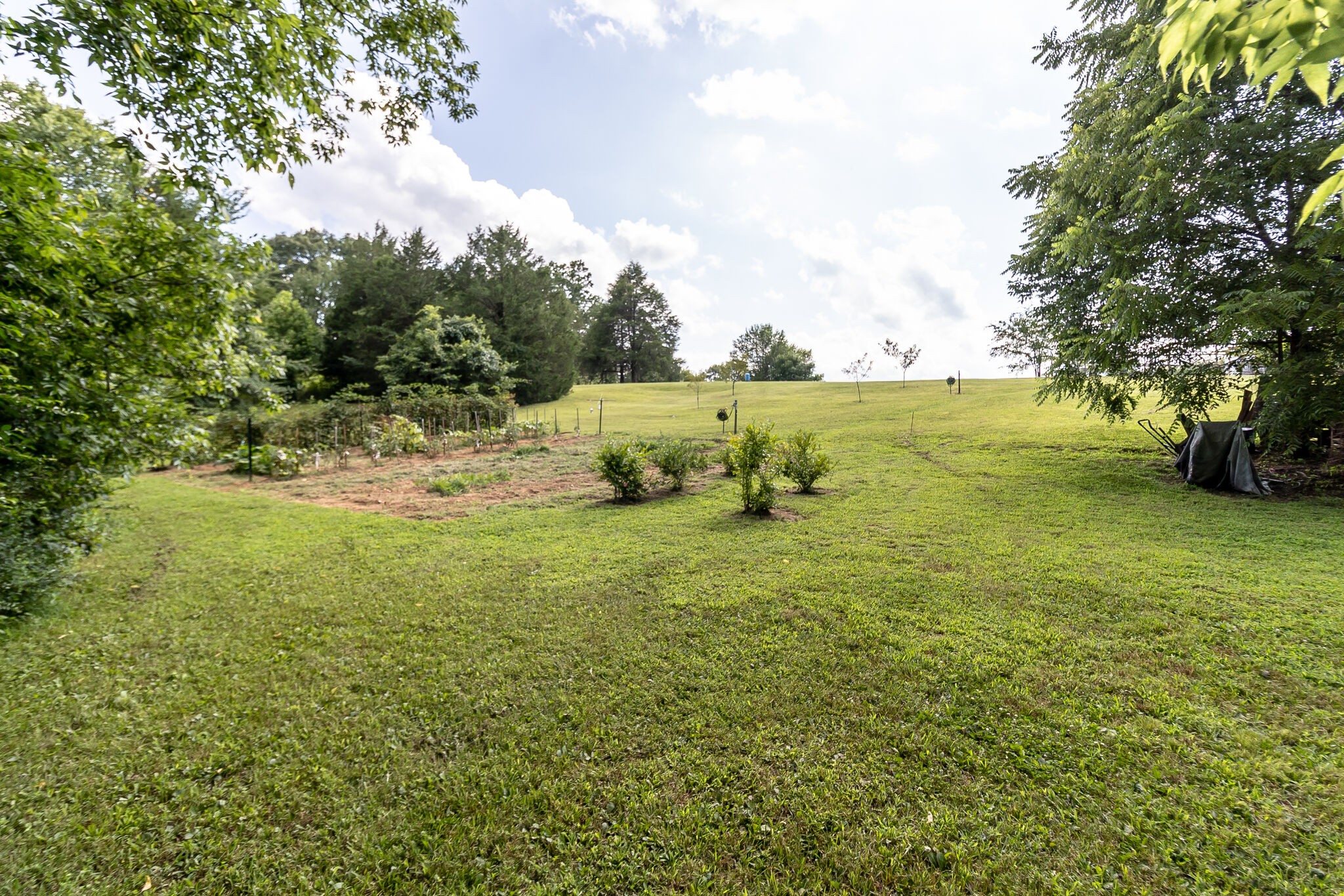 2865 Carpenter Bridge Road Columbia, TN 38401 - Photo 3 of 25 a view of an ocean view