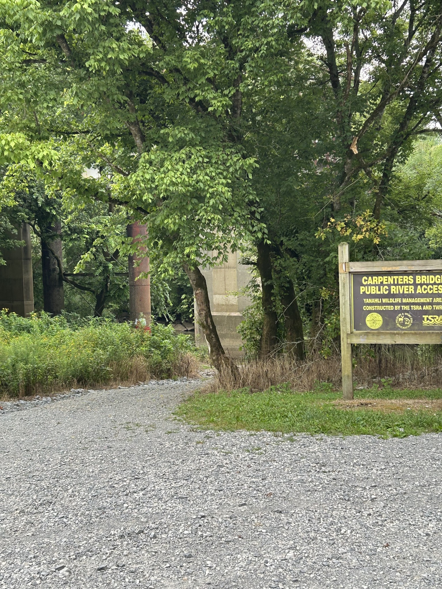 2865 Carpenter Bridge Road Columbia, TN 38401 - Photo 5 of 25 a view of a park with a trees