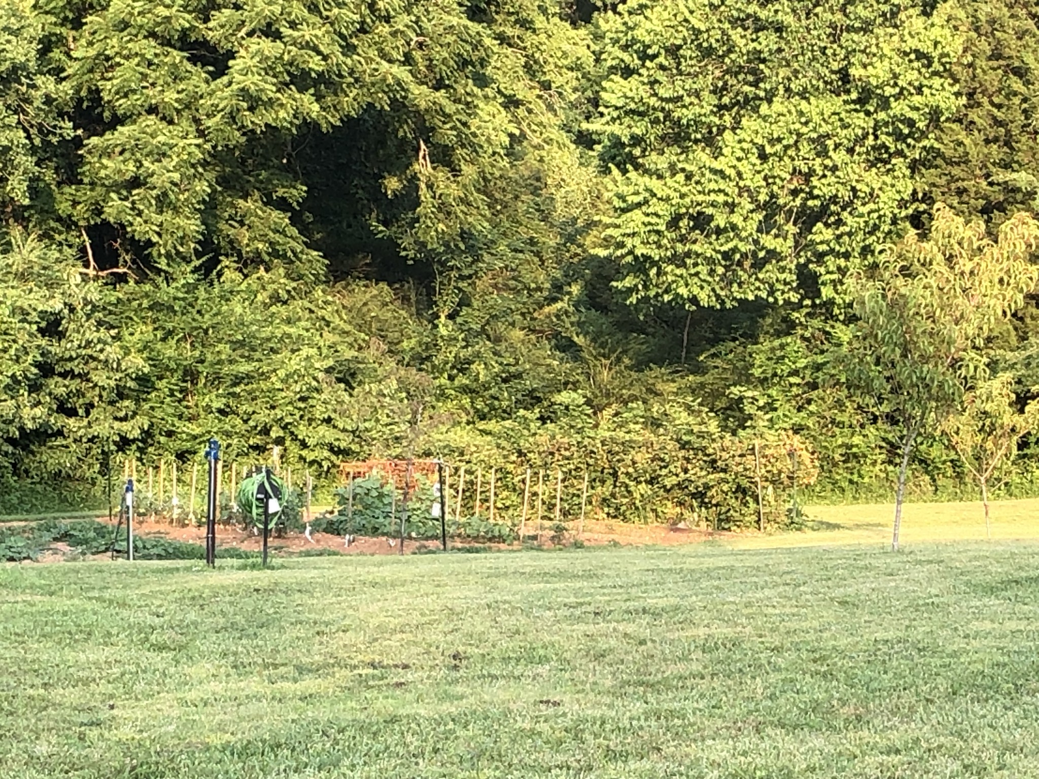 2865 Carpenter Bridge Road Columbia, TN 38401 - Photo 7 of 25 a view of an outdoor space and a yard
