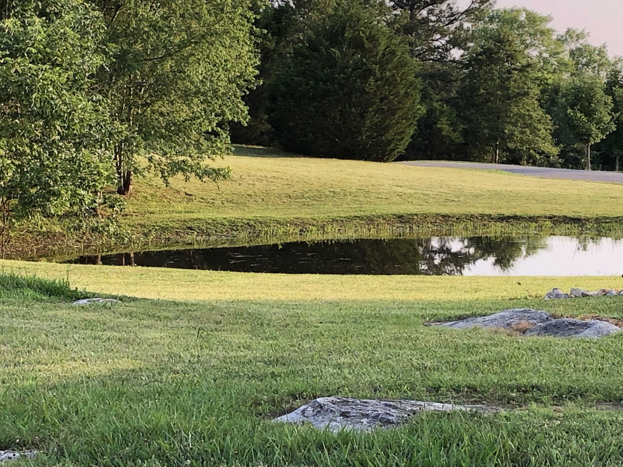 2865 Carpenter Bridge Road Columbia, TN 38401 - Photo 8 of 25 a view of an ocean beach