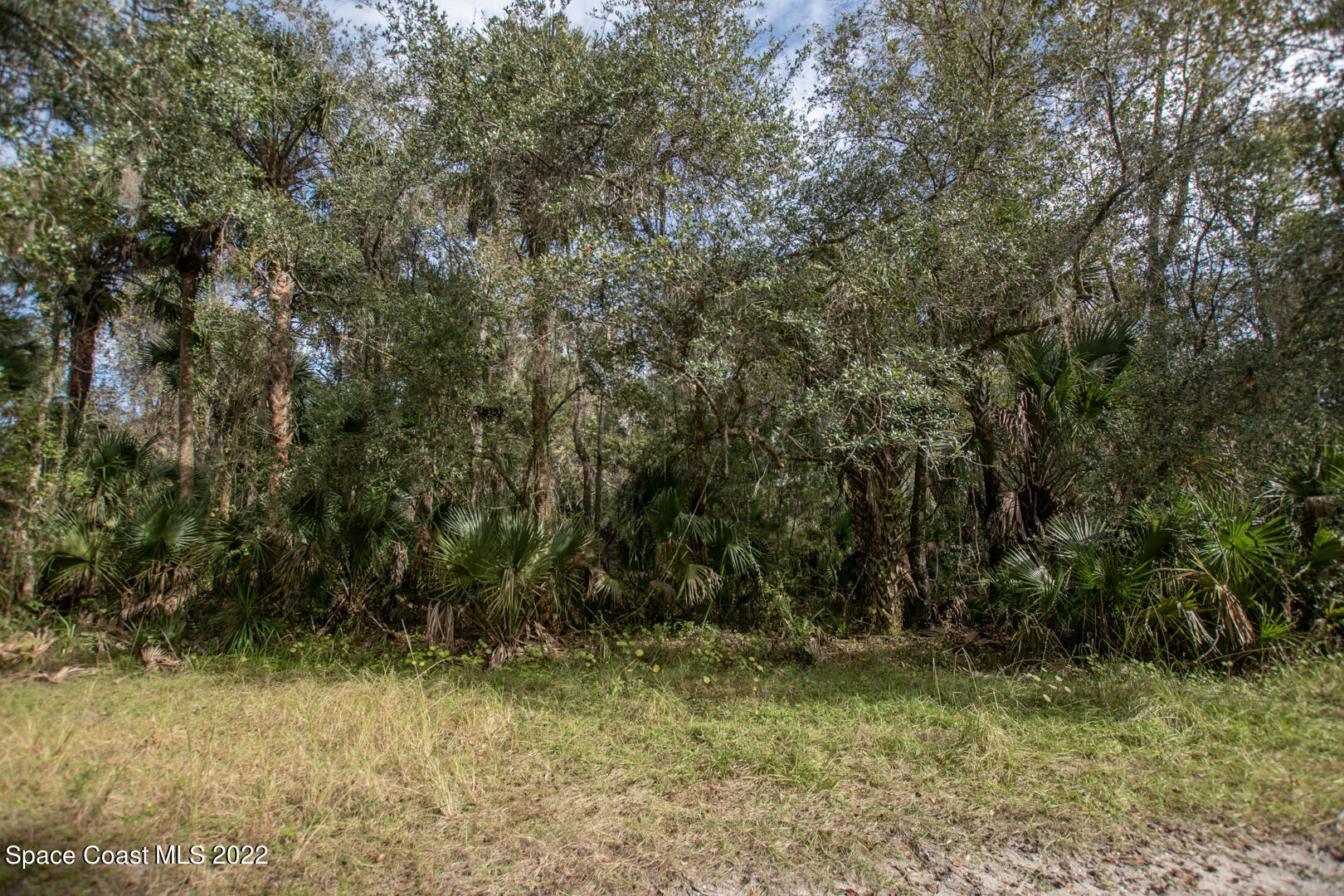 0 Freedom Road Mims, FL 32754 - Photo 21 of 22 DSC_1117