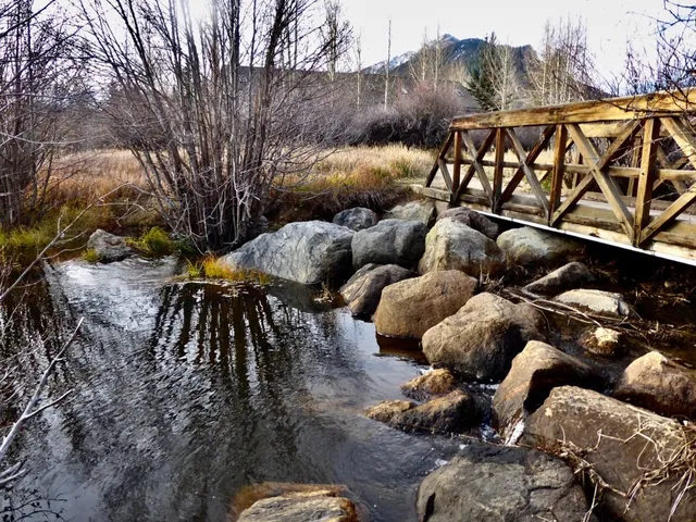 a view of a lake with a mountain in the background
