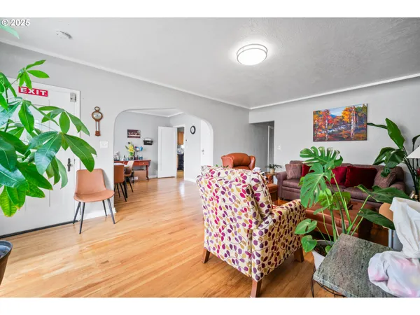 a living room with furniture and a potted plant