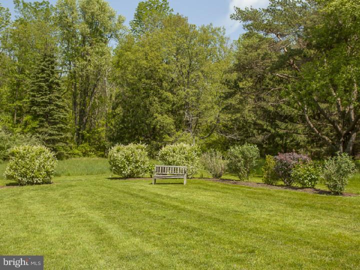40 Carter Road Princeton, NJ 08540 - Photo 24 of 25 Side Yard