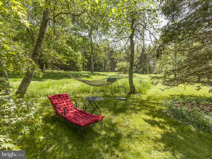 40 Carter Road Princeton, NJ 08540 - Photo 25 of 25 Side Yard