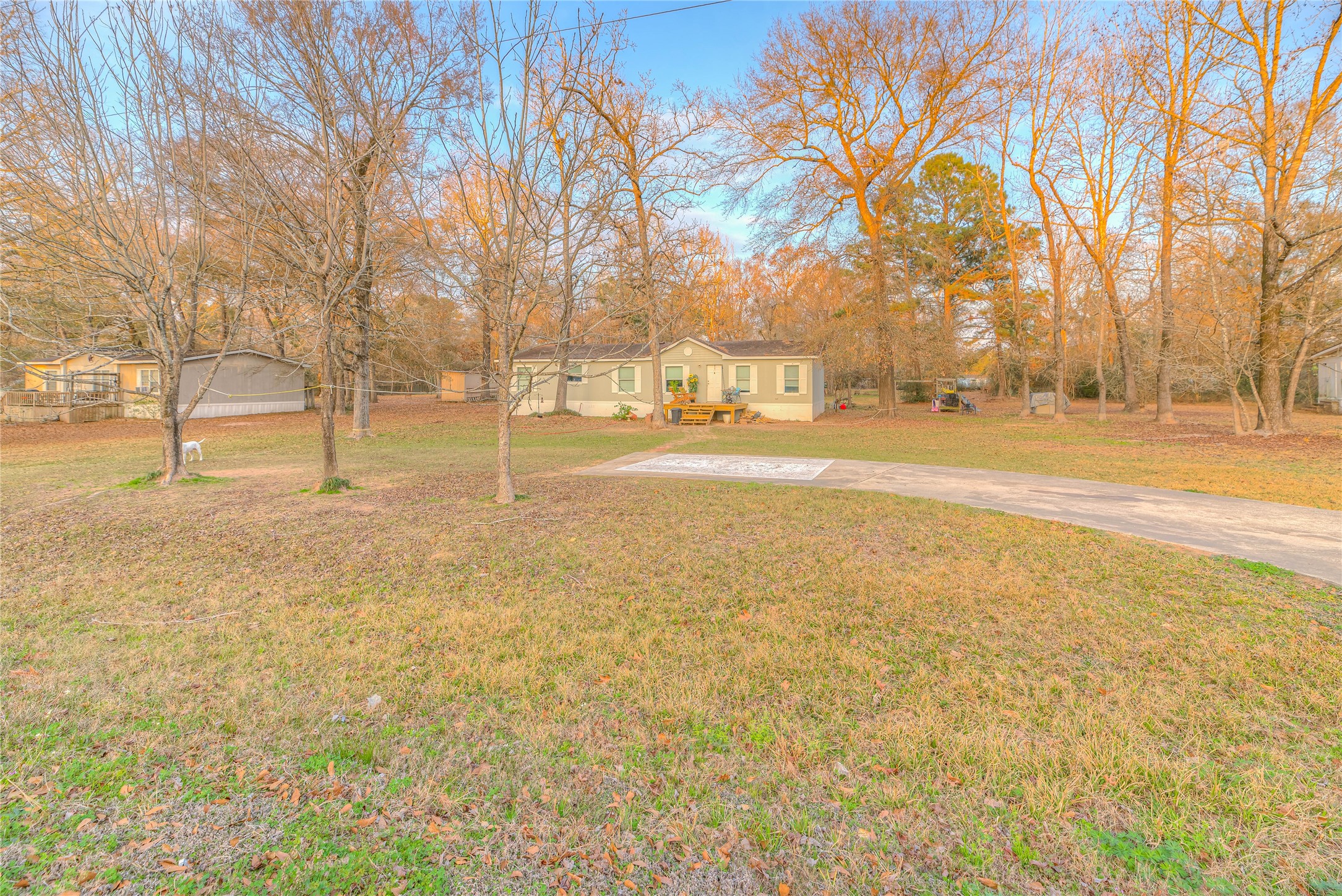 17709 Pine View Drive Conroe, TX 77302 - Photo 6 of 26 a view of yard with tree