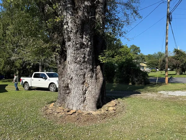 a view of a yard with car parked