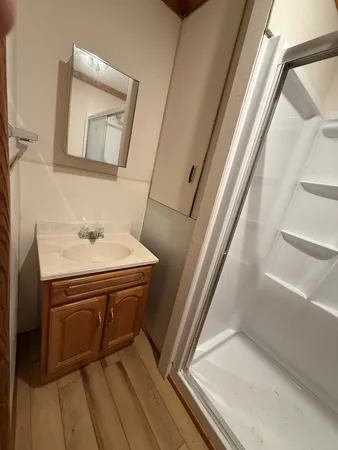 a bathroom with a sink a mirror and a shower