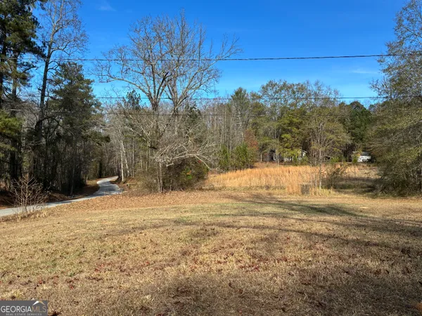 a view of yard with tree