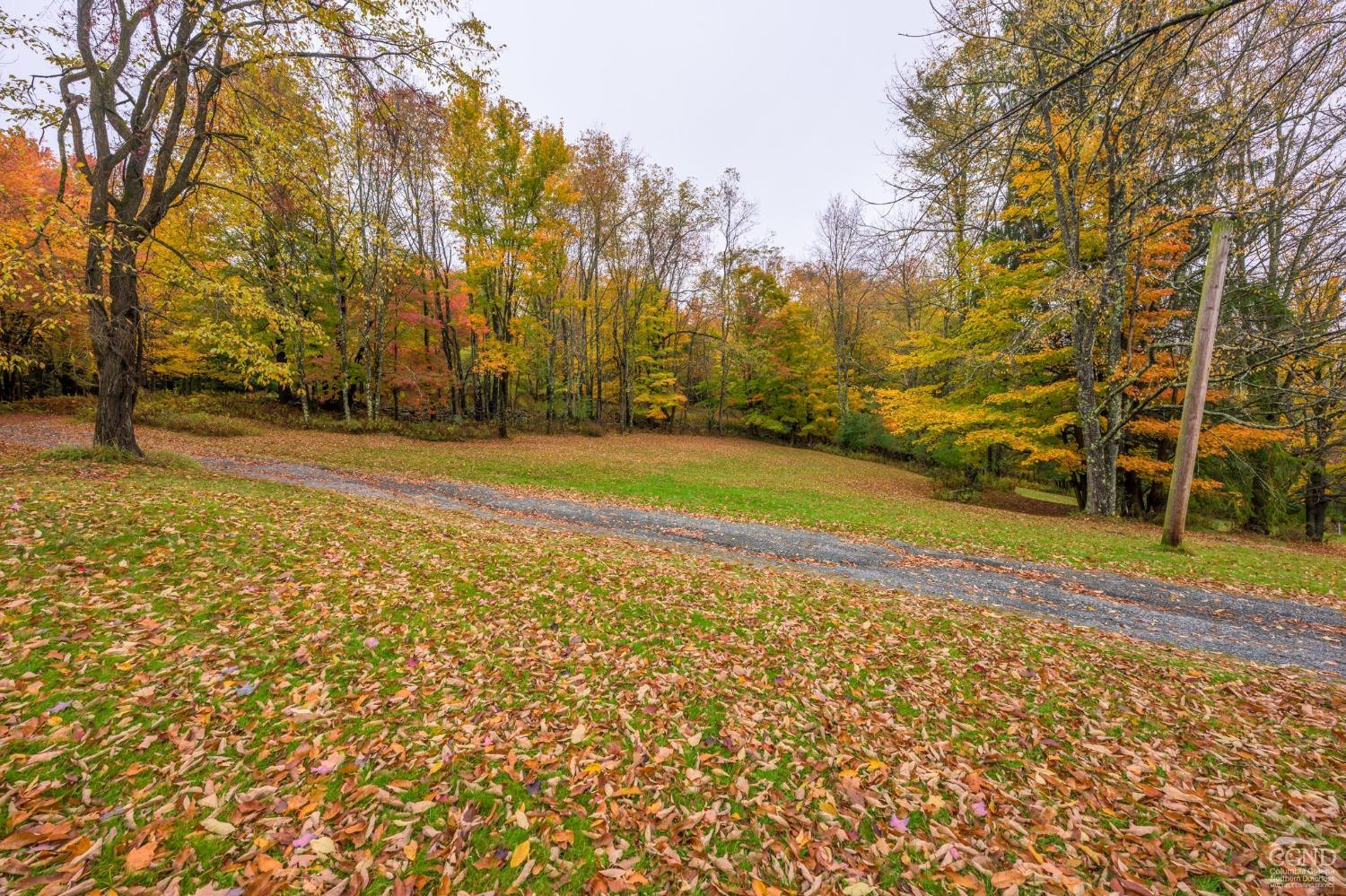 1013 Plank Road Poestenkill, NY 12018 - Photo 32 of 49 a view of a yard with yellow house