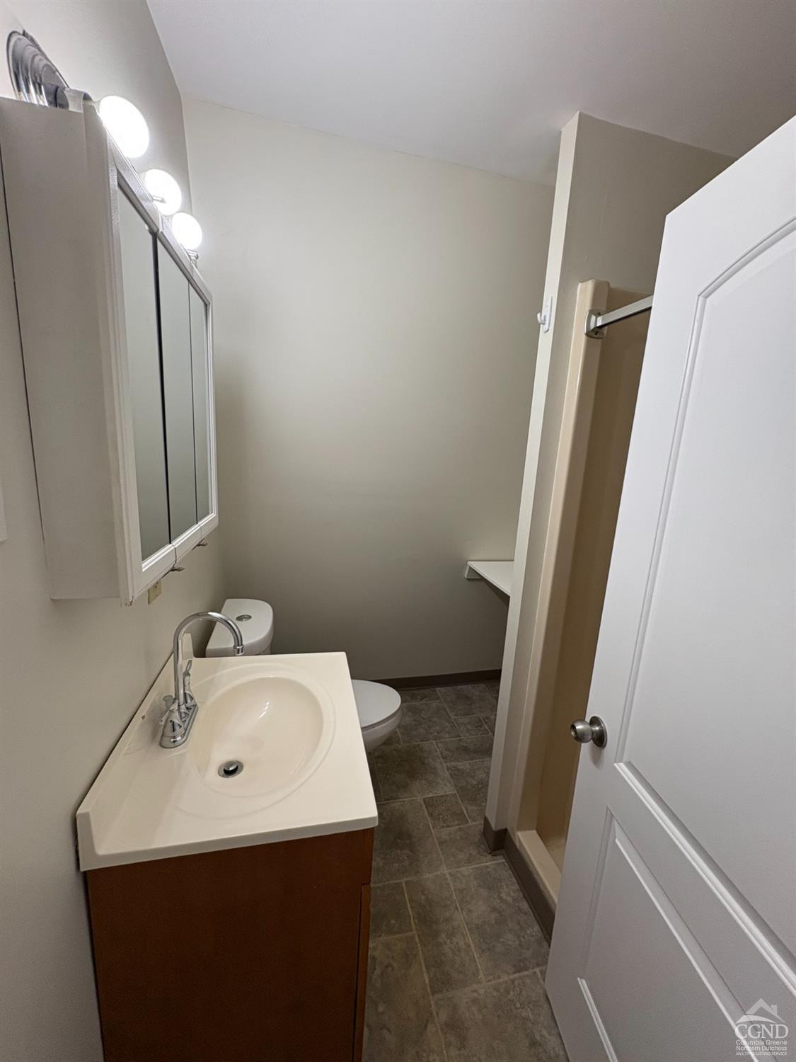 1013 Plank Road Poestenkill, NY 12018 - Photo 46 of 49 a bathroom with a sink a mirror and a toilet