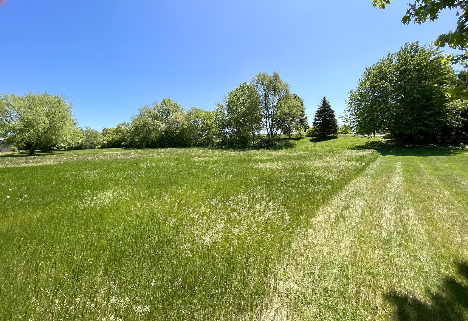 3013 Highway 12 Spring Grove, IL 60081 - Photo 2 of 7