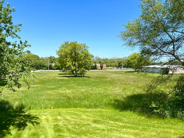 a view of a garden with trees